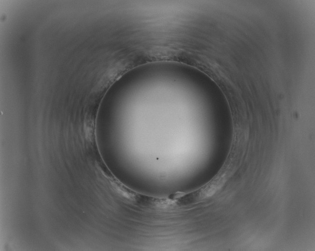 X0000071780576200606301223