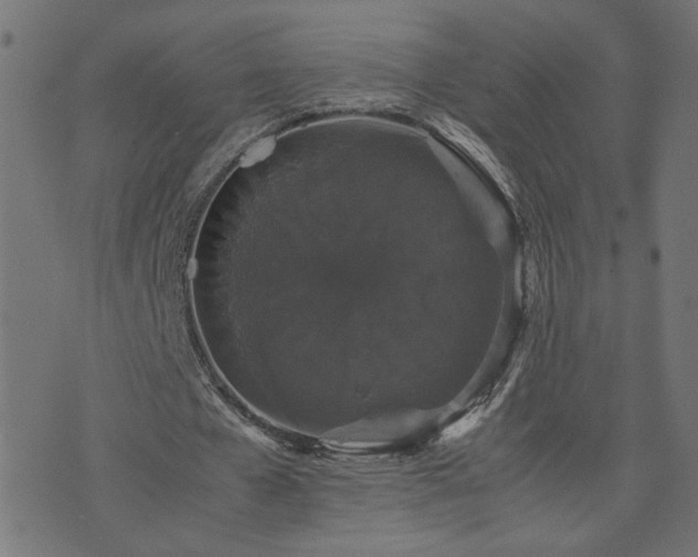 X0000071780577200606301222