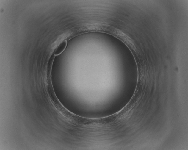 X0000071780578200606301222