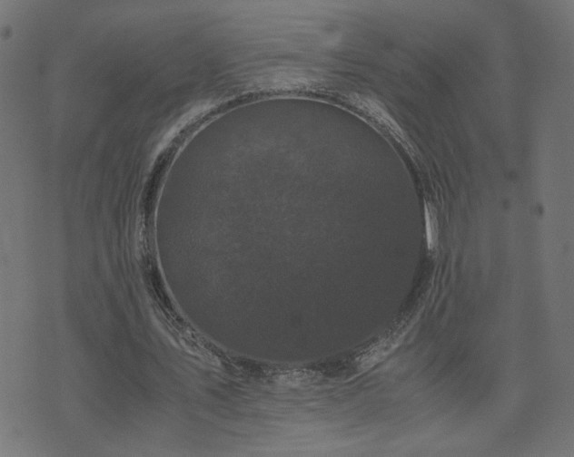 X0000071780579200606301222