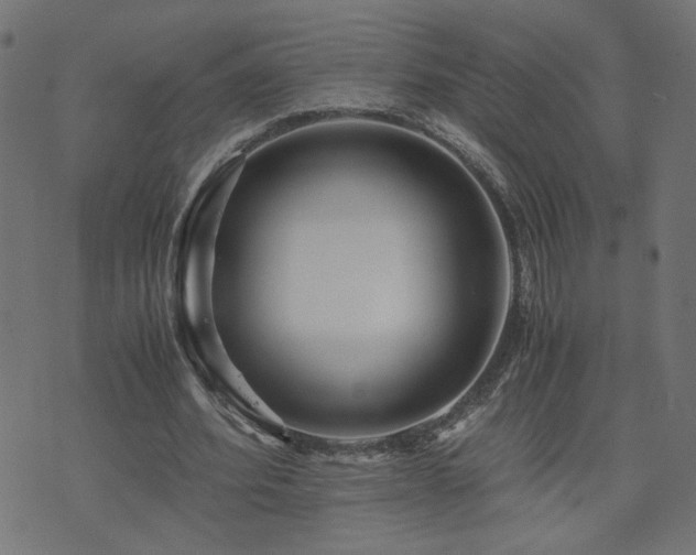 X0000071780580200606301222