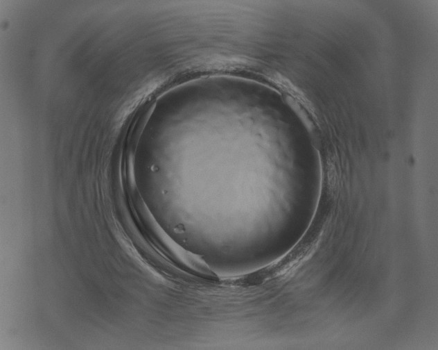 X0000071780581200606301222