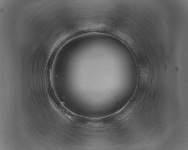 X0000071780582200606301222