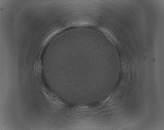 X0000071780583200606301222