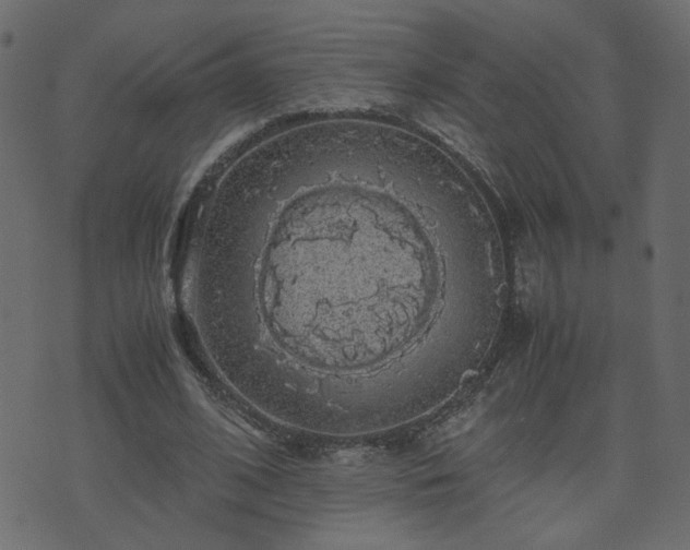 X0000071780584200606301222