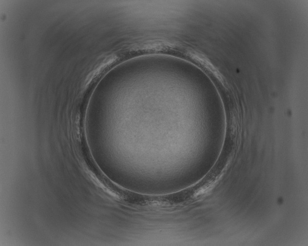 X0000071780585200606301222