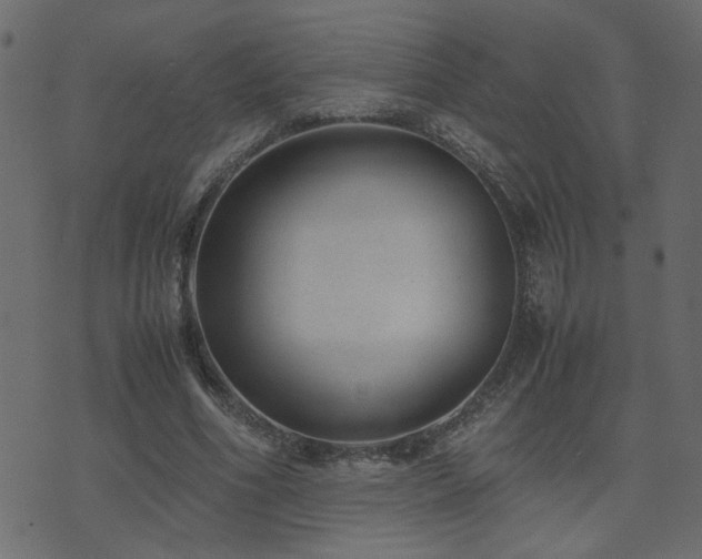 X0000071780586200606301222