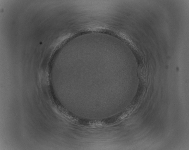 X0000071780587200606301222