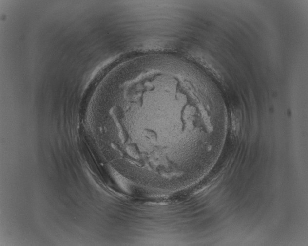 X0000071780588200606301222