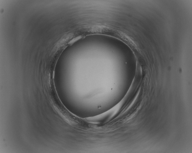 X0000071780589200606301222