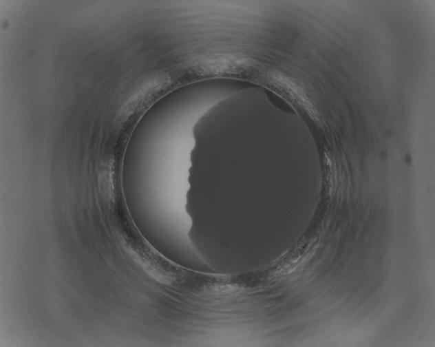 X0000071780590200606301222