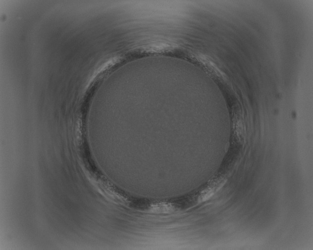 X0000071780591200606301222