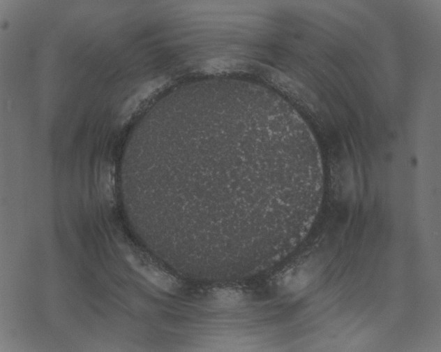 X0000071780592200606301222