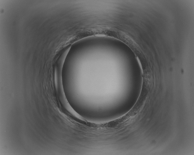 X0000071780593200606301222