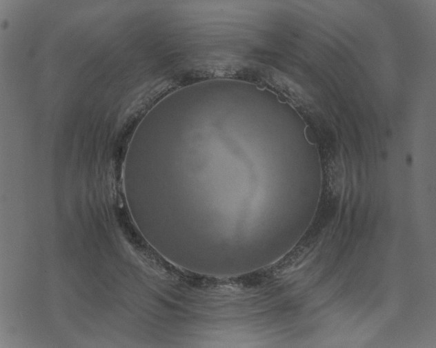 X0000071780594200606301222