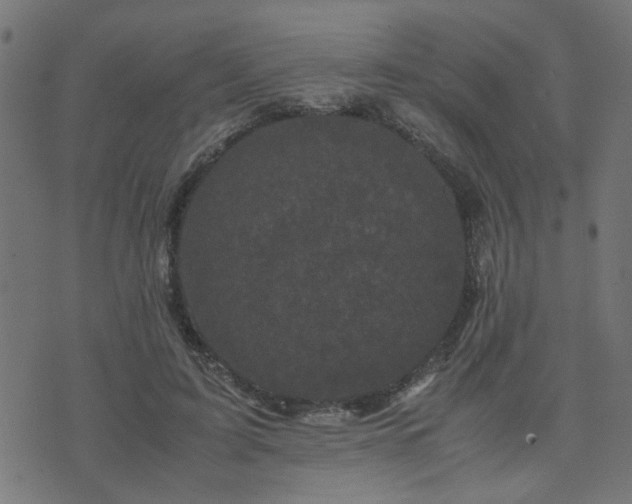 X0000071780595200606301222