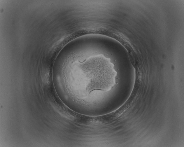 X0000071780596200606301222