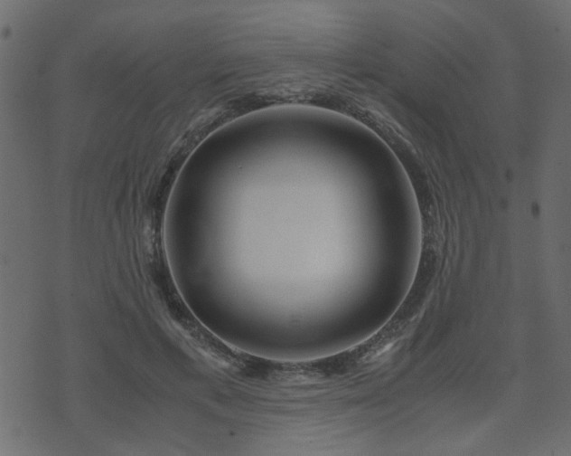 X0000071780597200606301222