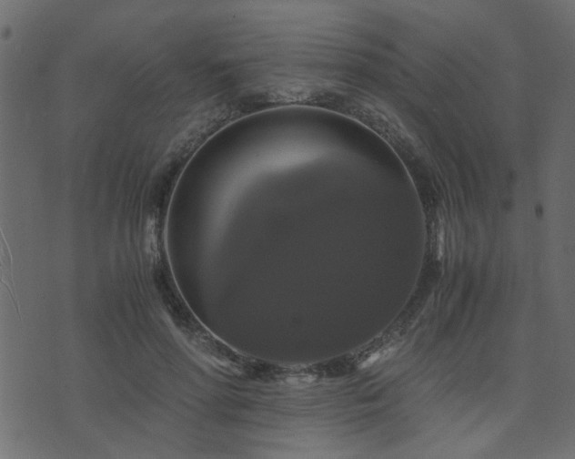 X0000071780598200606301222