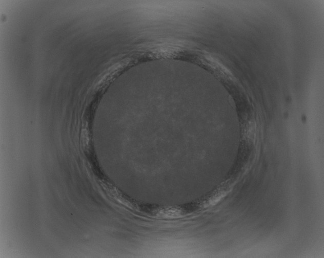 X0000071780599200606301222