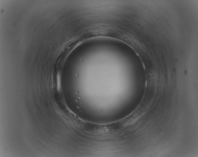 X0000071780600200606301222