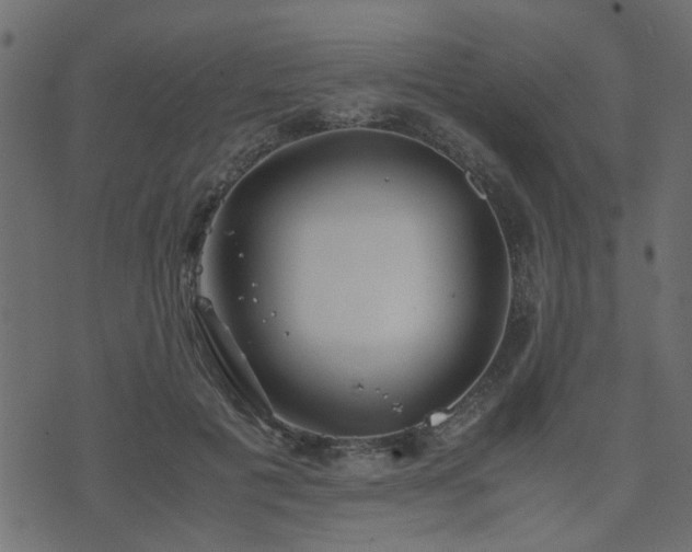 X0000071780601200606301222