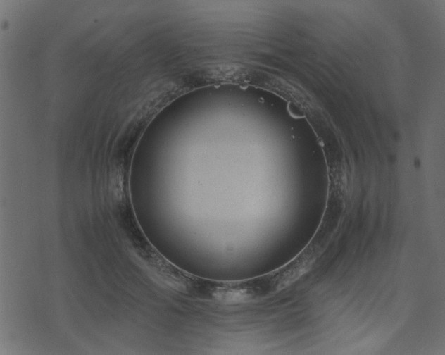 X0000071780602200606301222