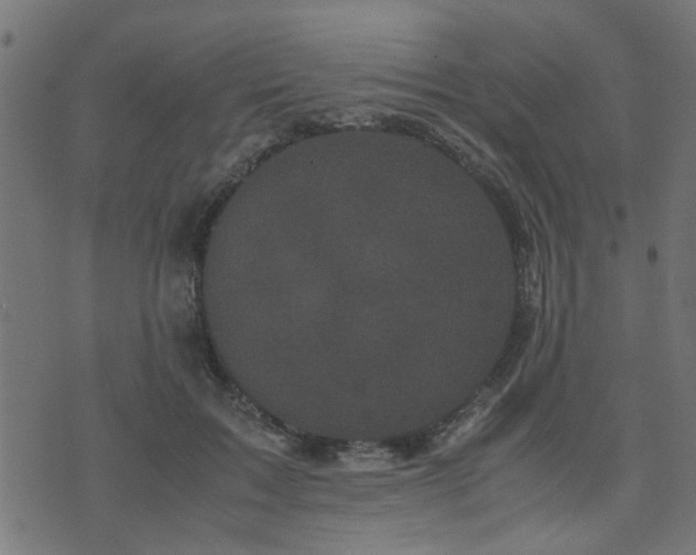 X0000071780603200606301222