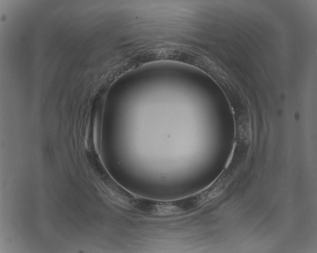 X0000071780605200606301222