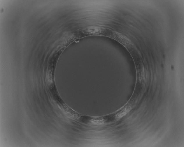 X0000071780606200606301222