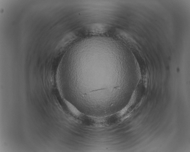 X0000071780608200606301222