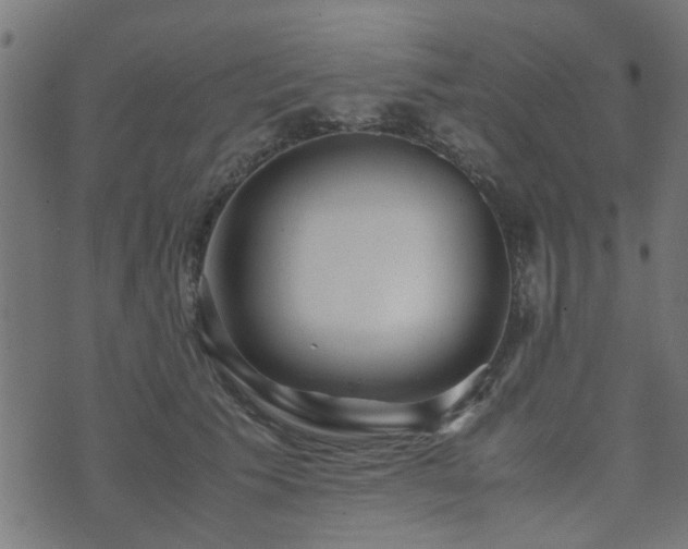 X0000071780609200606301222