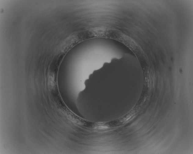 X0000071780610200606301222