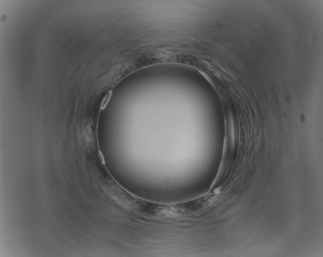 X0000071780611200606301222