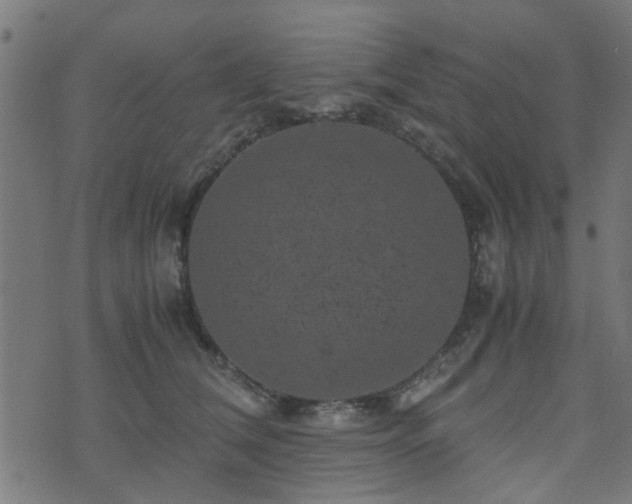 X0000071780612200606301222