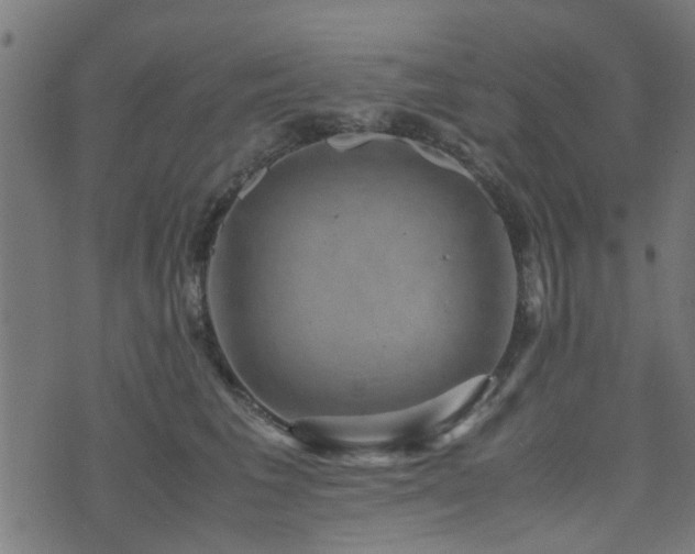 X0000071780613200606301222