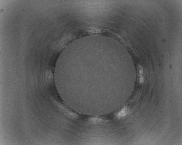 X0000071780614200606301222