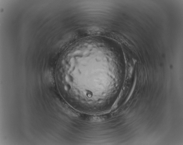 X0000071780616200606301222