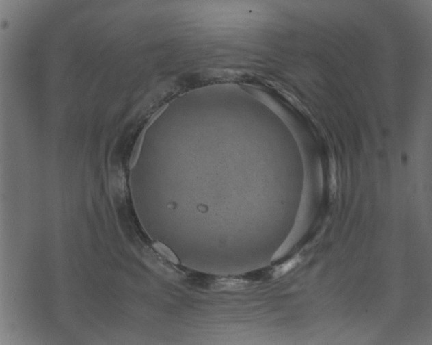 X0000071780617200606301222