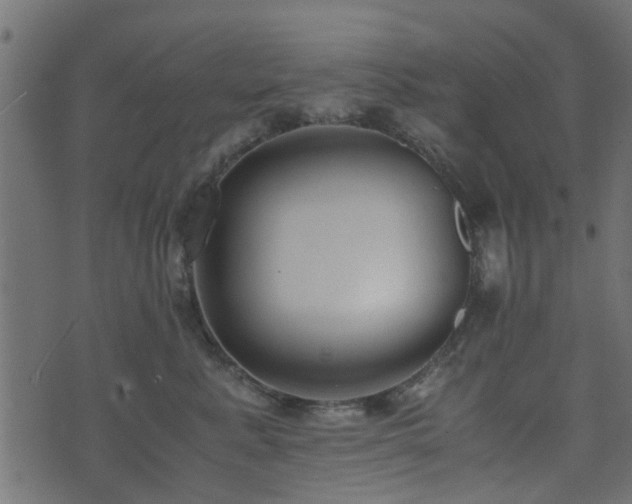 X0000071780619200606301222