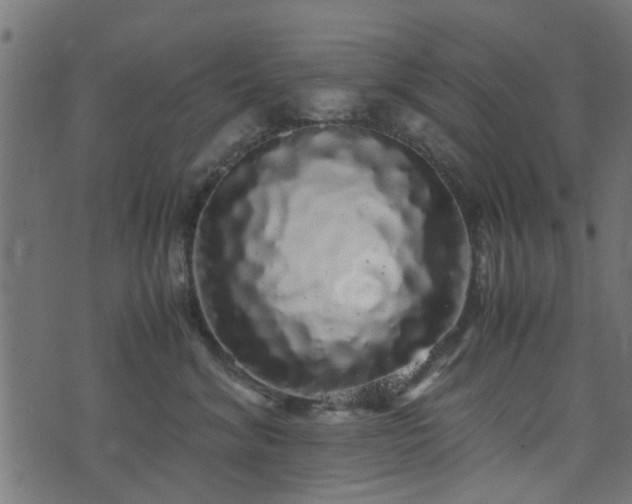 X0000071780620200606301222