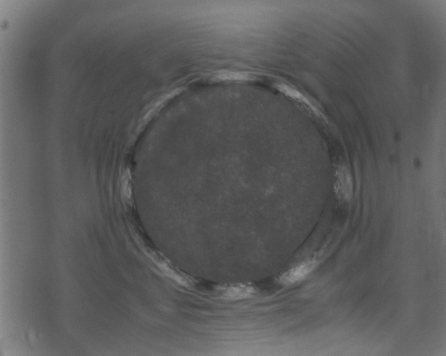 X0000071780621200606301222