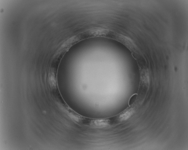 X0000071780622200606301222