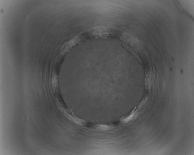 X0000071780623200606301222