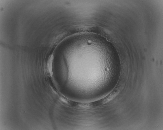 X0000071780624200606301222