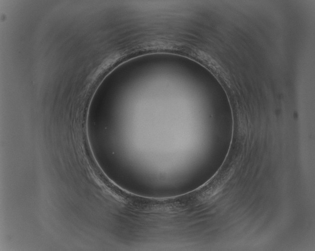 X0000071780625200606301221