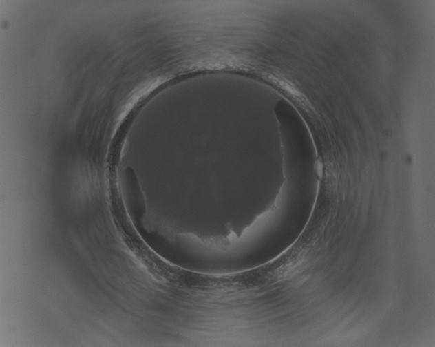 X0000071780626200606301221