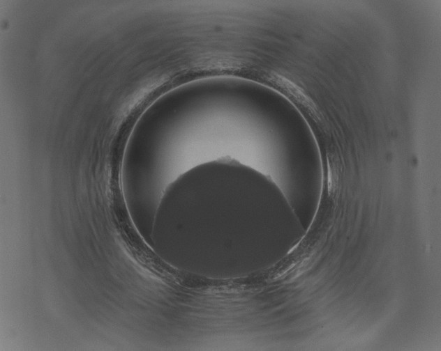 X0000071780627200606301221