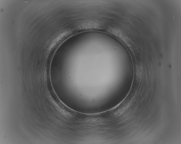 X0000071780629200606301221