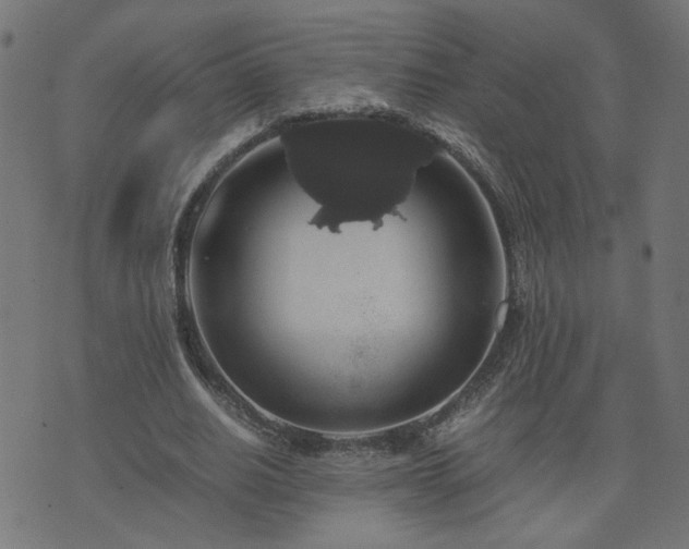 X0000071780630200606301221